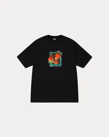 스투시 남녀공용 베리즈 반팔 티셔츠 BERRIES TEE  캐나다공식홈