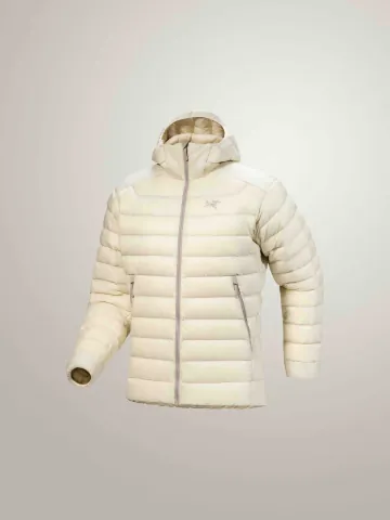 아크테릭스 세륨 후디 남성용 자켓