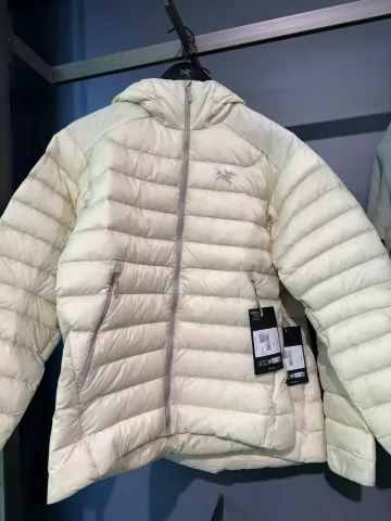 아크테릭스 세륨 후디 남성용 자켓