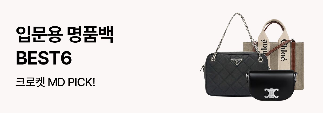 입문용 명품백 BEST6 🖤