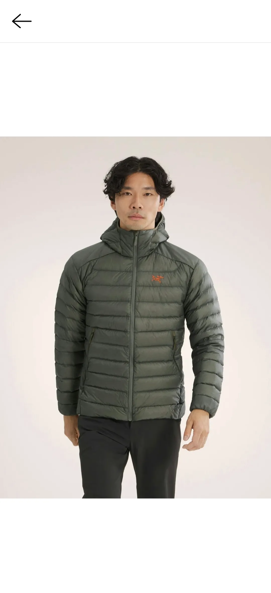 아크테릭스 세륨 L사이즈 저색상 구합니다