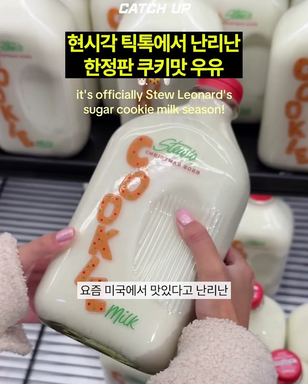 스튜 레오너드 우유병