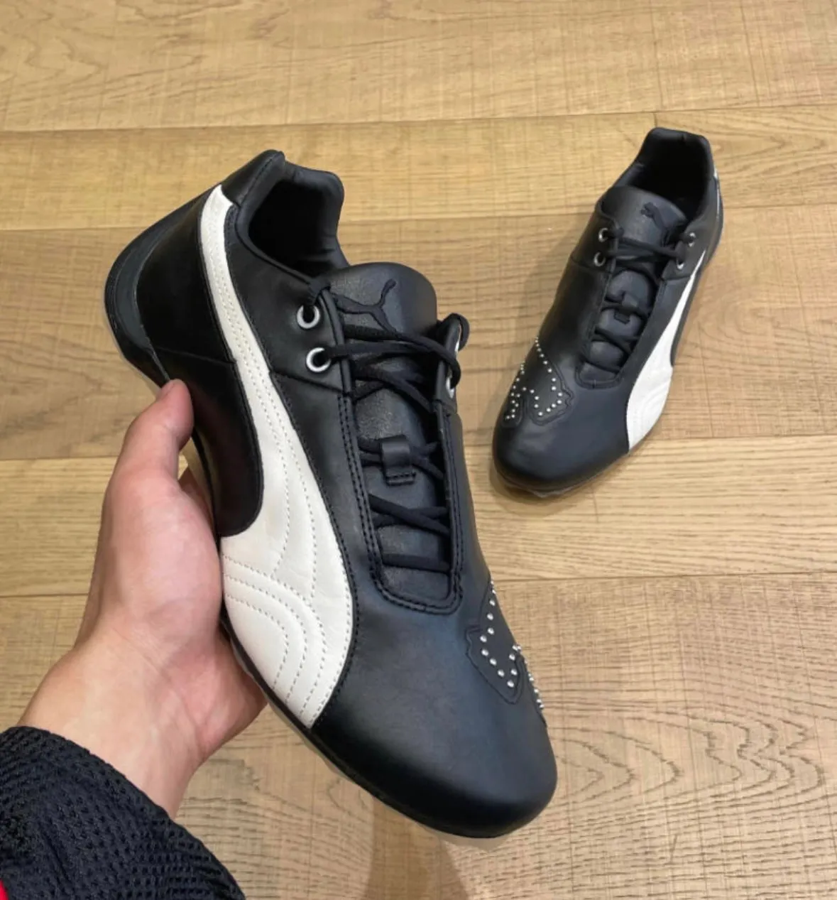 PUMA Future Cat STUDS