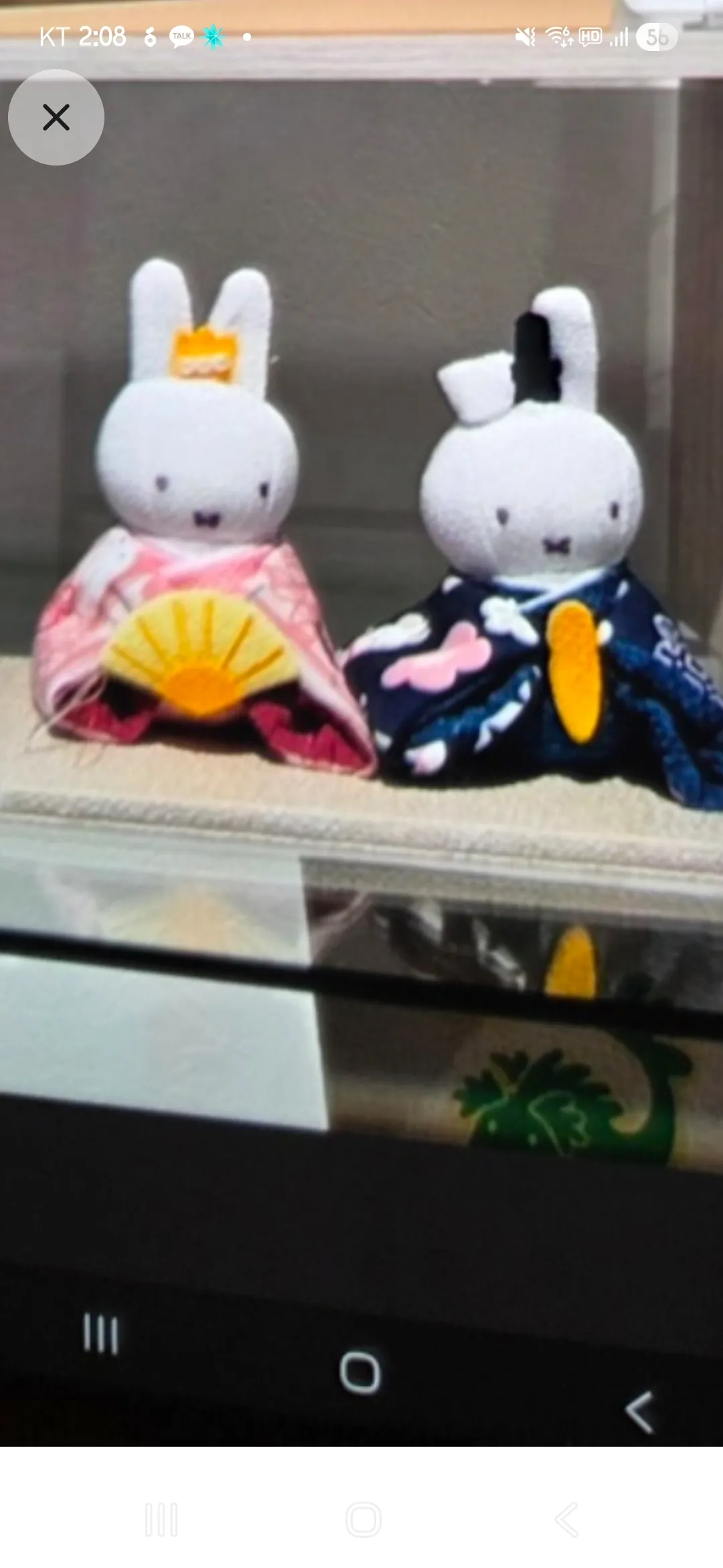 미피 히나 삿포로