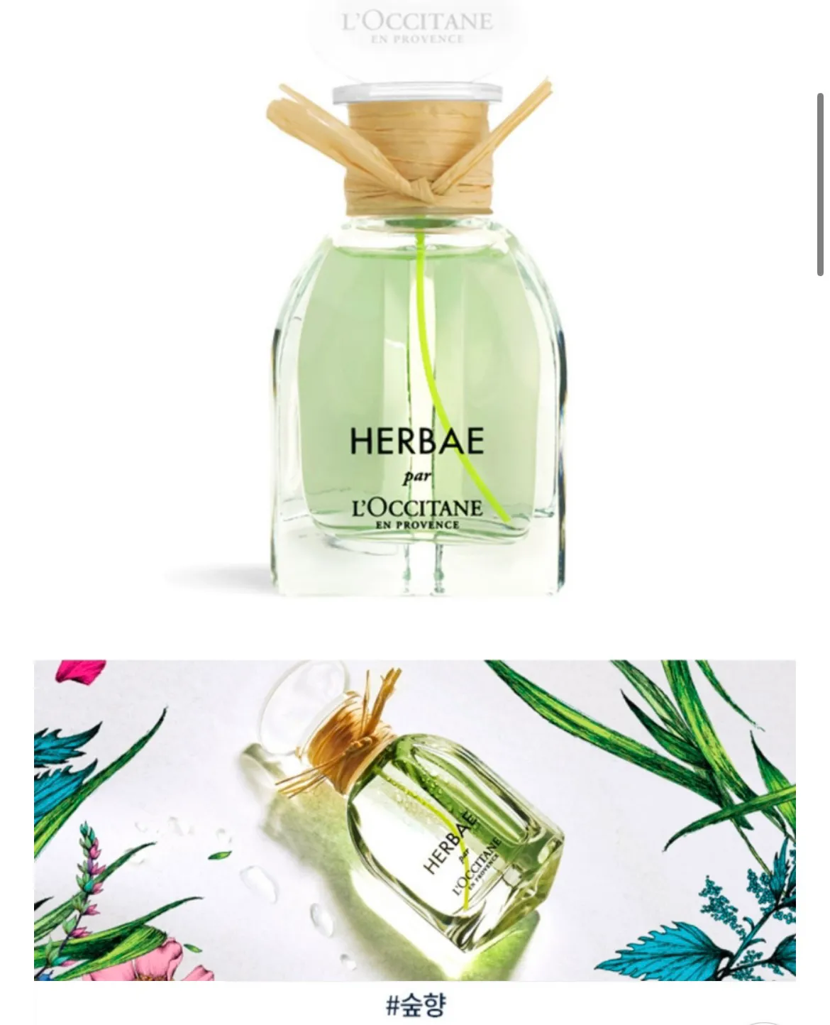 록시땅 에르베 향수