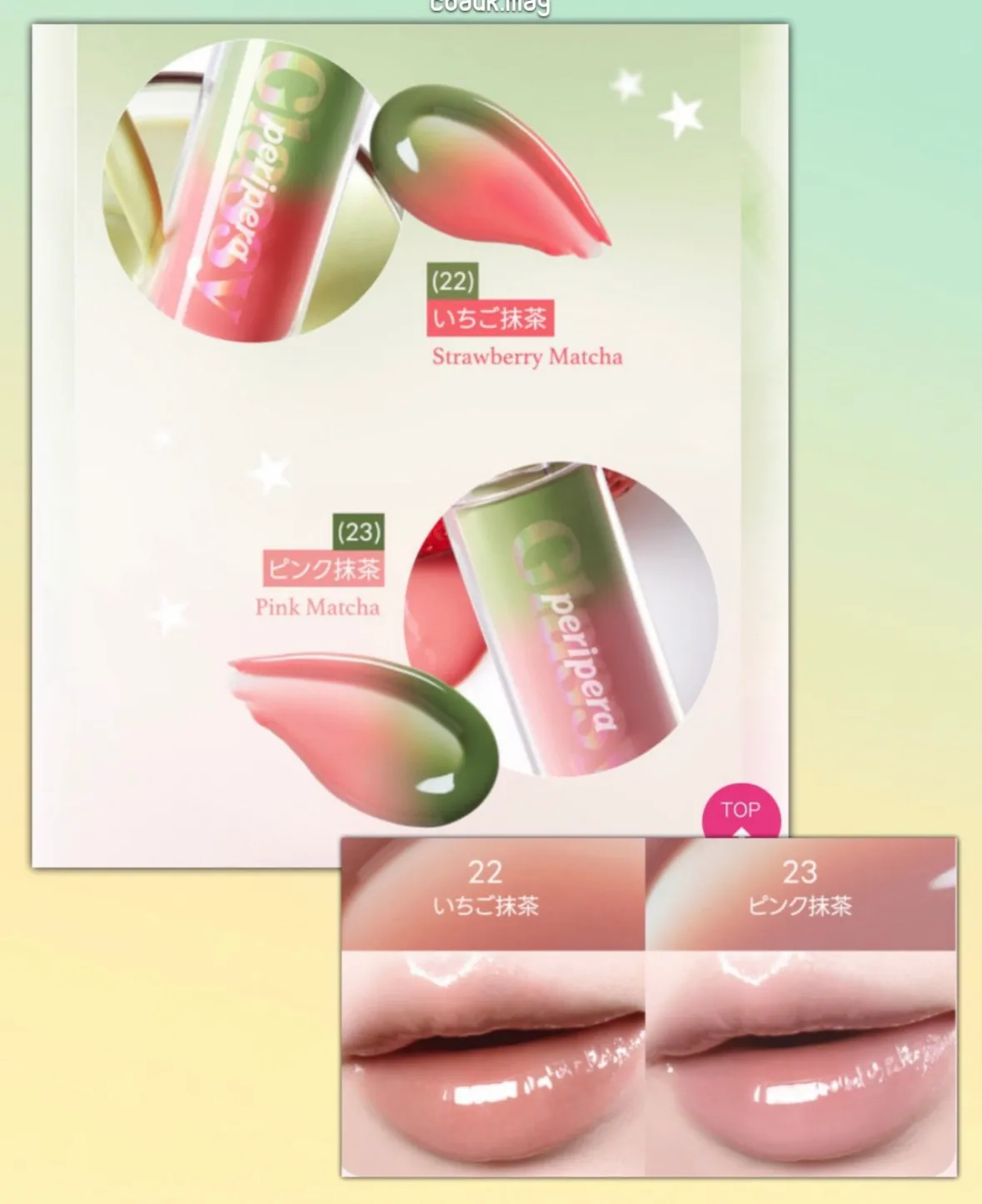 일본 페리페라 23호 핑크말차